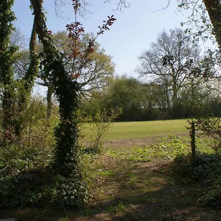 بيت للعطل Spacious 4 Bed Family In Parkland Setting